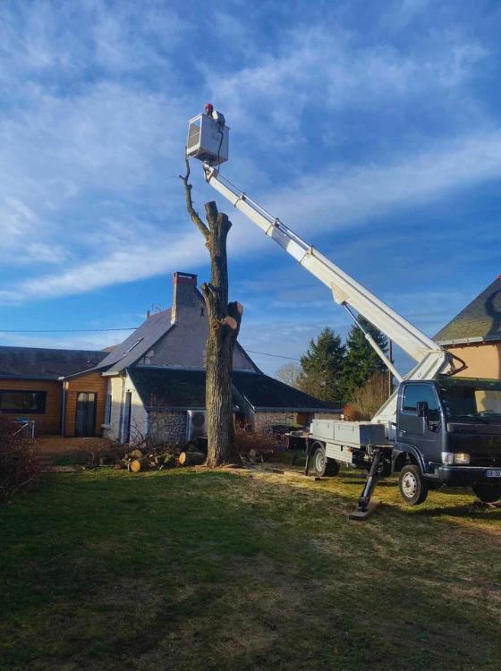 Jardin privé soigné