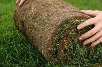 Aménagement extérieur Nogent-sur-Oise