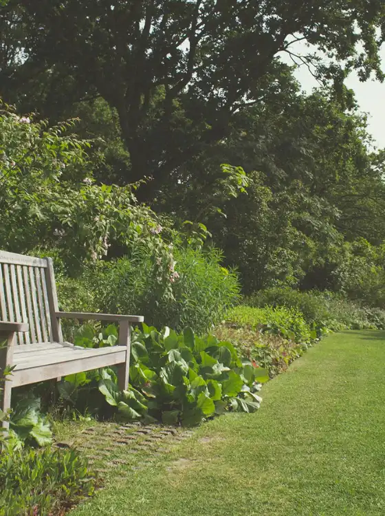 Plantation d'arbres Oise