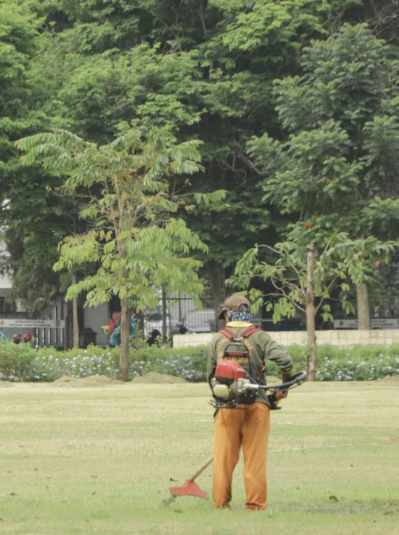 Parcelle propre et entretenue