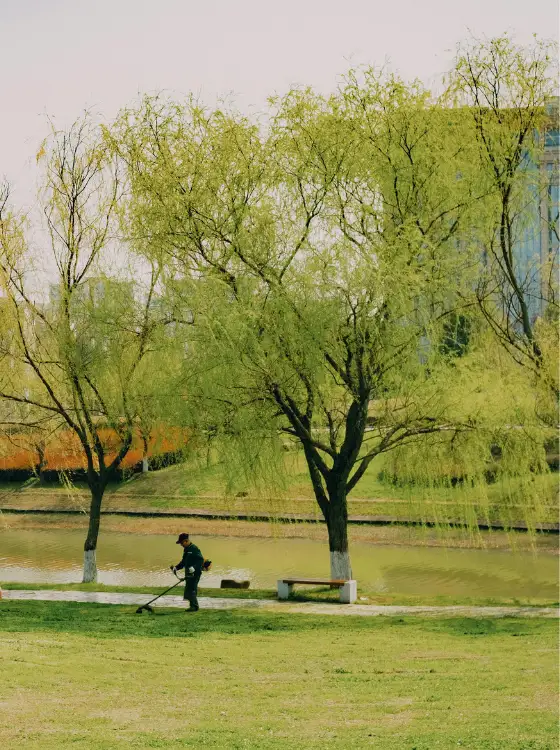 Terrain dégagé après fauchage