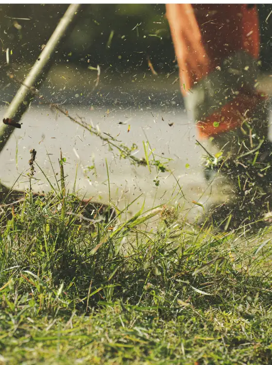 Débroussaillage mécanique