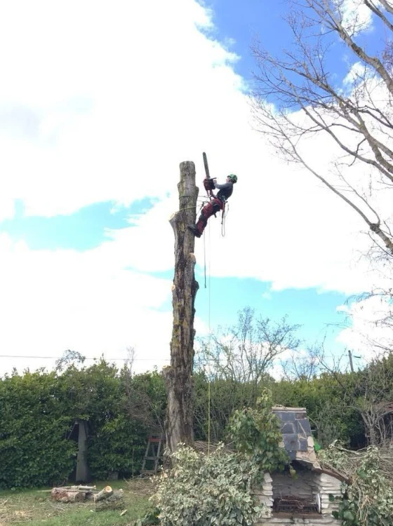 Professionnel des espaces verts