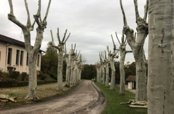 Entreprise Albert Elagage Oise