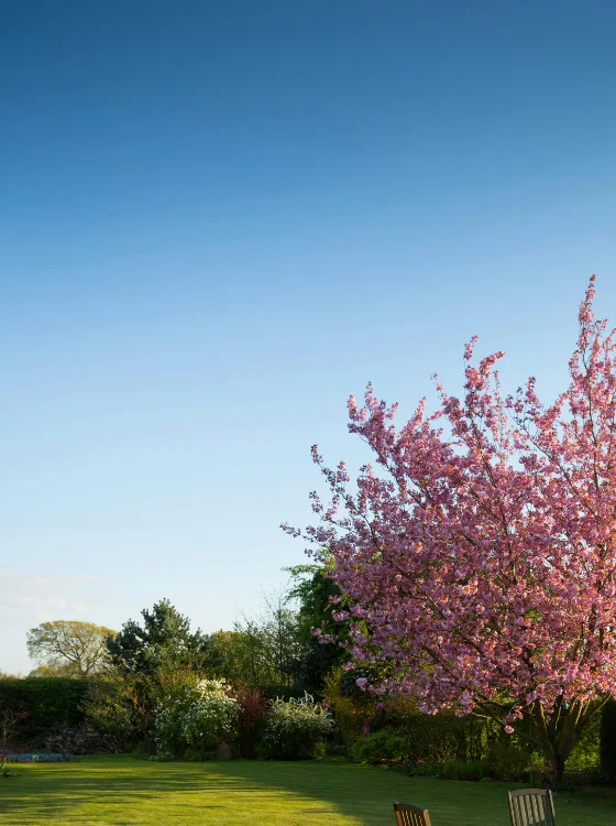Jardin fleuri et entretenu