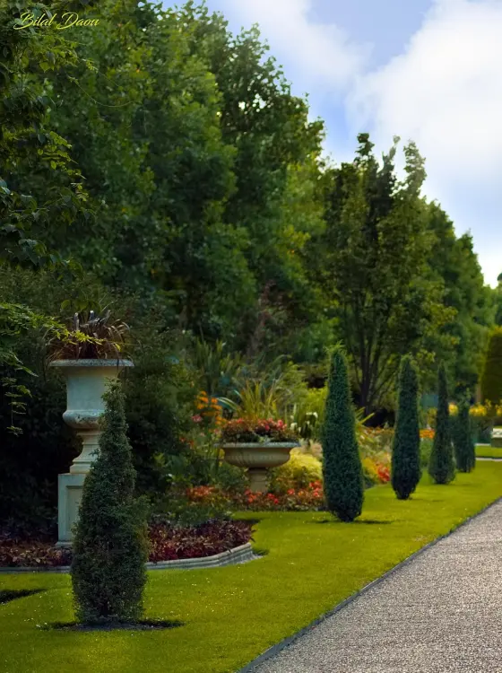 Plantation jardinier