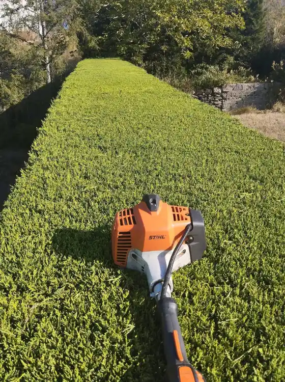 Taille arbuste et haie