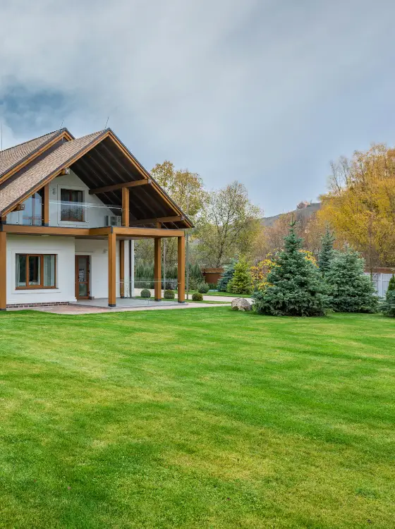 Jardin nivelé après dessouchage