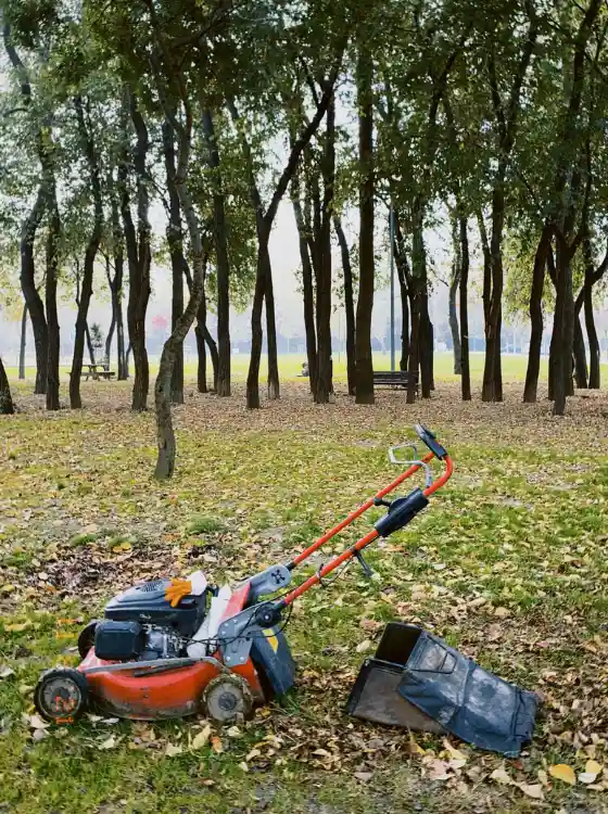 Jardinier tondant le gazon