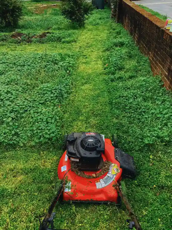 Finitions gazon soignées